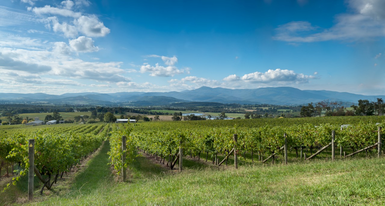 The Yarra Valley Image 1